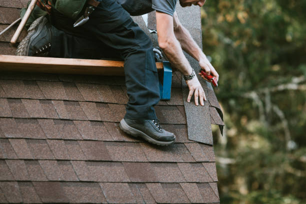 Best Roof Gutter Cleaning  in Pierre Part, LA